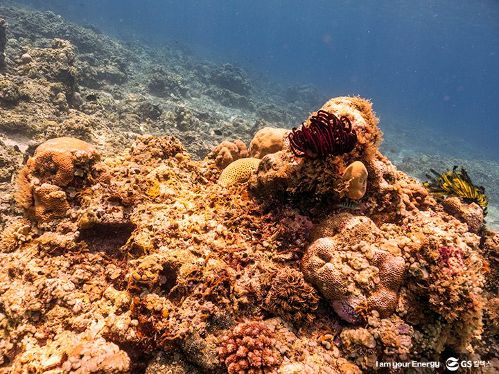 GS칼텍스, GS칼텍스사보, 영화제, 친환경, 기획특집