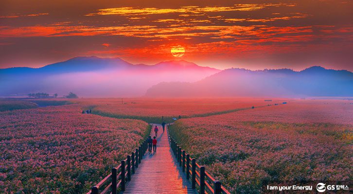 일출, 해돋이, 시간, 명소, 국내 일출, 순천만 일출