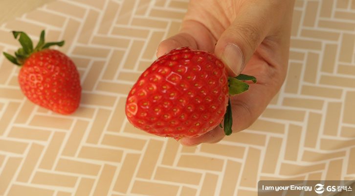 딸기, 딸기 장미, 토마토 해바라기, 사과 토끼, 과일 자르는법