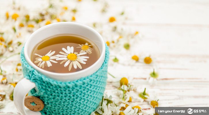 카모마일차, 허브차