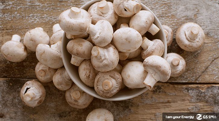 버섯은 체내의 불순물을 제거하고 면역력을 강화하는 기능을 해요