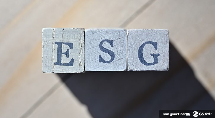 'ESG'가 새겨진 나무조각들이 일렬로 나열된 모습