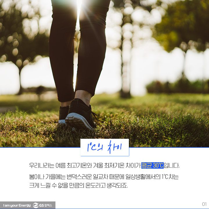 GS칼텍스, GS칼텍스 사보, 호모클리마투스