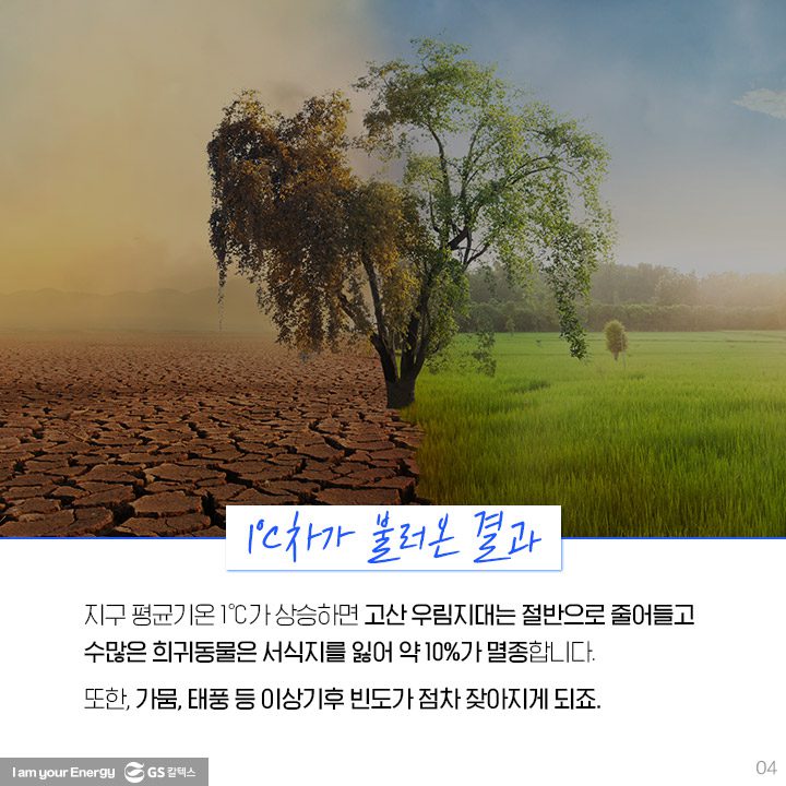 GS칼텍스, GS칼텍스 사보, 호모클리마투스