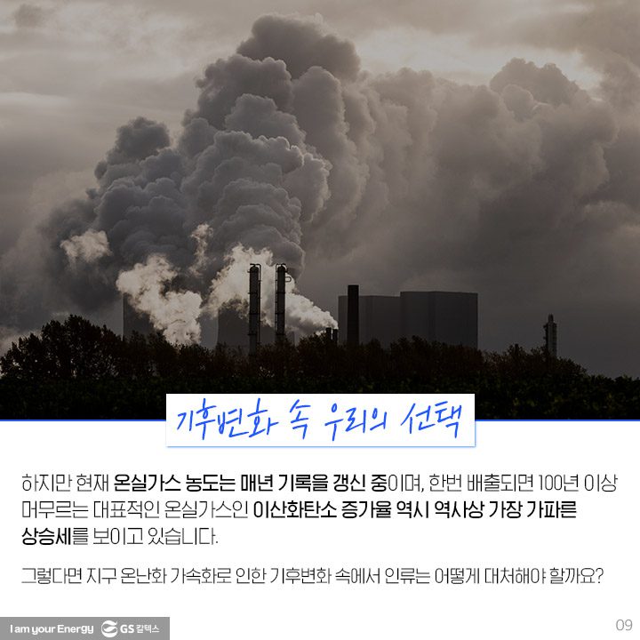 GS칼텍스, GS칼텍스 사보, 호모클리마투스