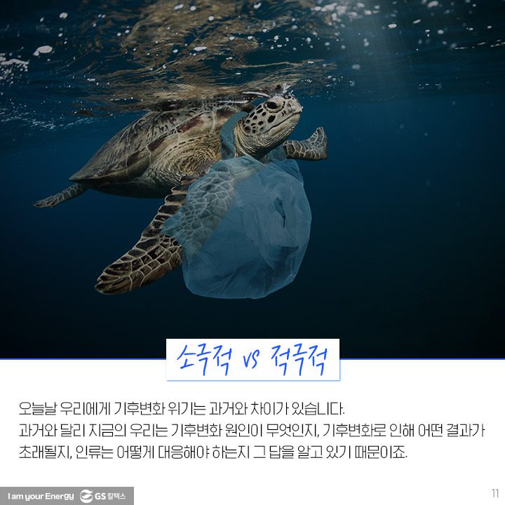 GS칼텍스, GS칼텍스 사보, 호모클리마투스