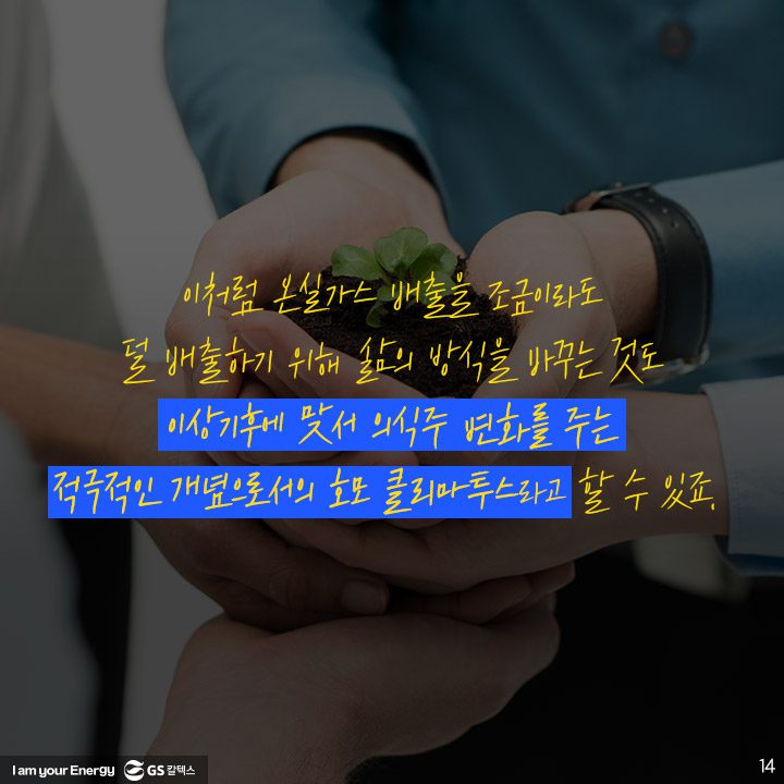 GS칼텍스, GS칼텍스 사보, 호모클리마투스