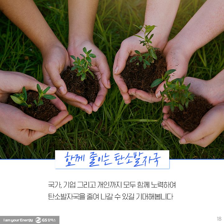 GS칼텍스, GS칼텍스 사보, 호모클리마투스