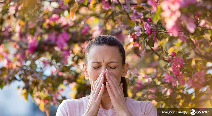 꽃가루는 멀리하기