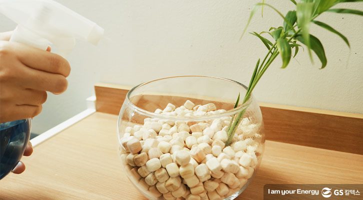 편백나무 가습기 만들기_편백나무 가습기 재사용 방법_1