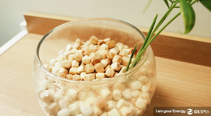 편백나무 가습기 만들기_편백나무 가습기 재사용 방법_2