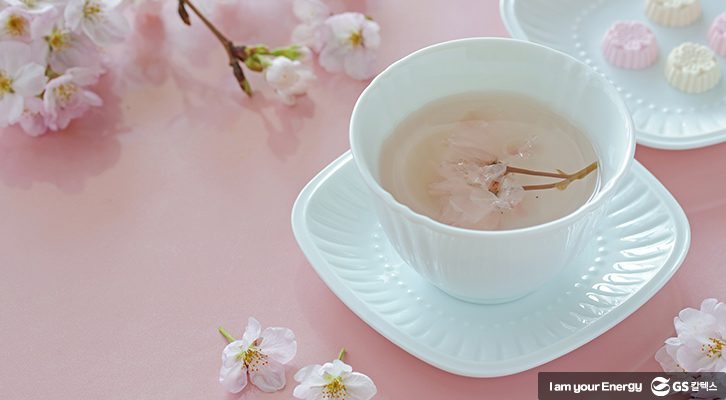 봄철 에너지 충전! 몸에 좋은 꽃차_벚꽃차