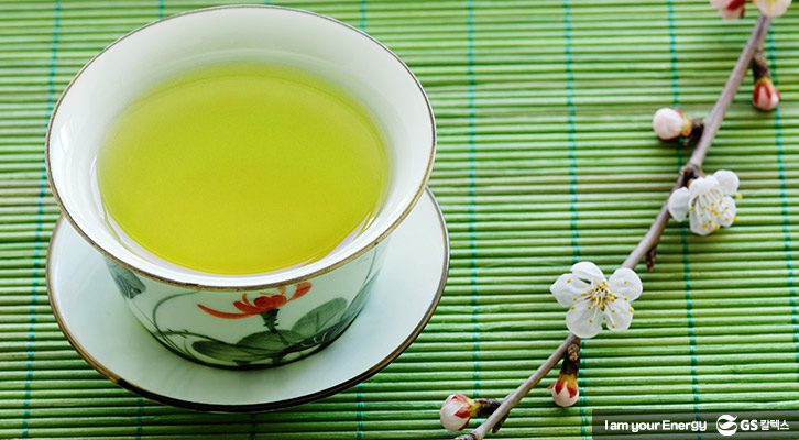 봄철 에너지 충전! 몸에 좋은 꽃차_매화꽃차
