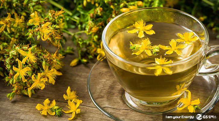 봄철 에너지 충전! 몸에 좋은 꽃차_유채꽃차