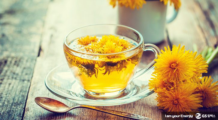 봄철 에너지 충전! 몸에 좋은 꽃차_민들레꽃차
