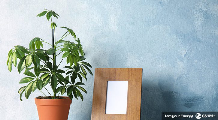 식목일만들기_홍콩야자