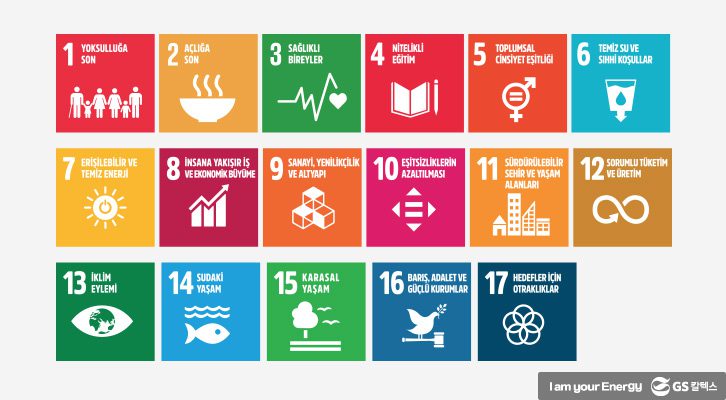 지속적 발전을 위한 SDGs의 17개 목표