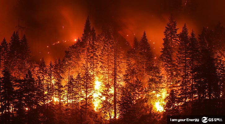 재해대비방법_산불