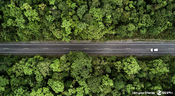 클리마투스 컬리지