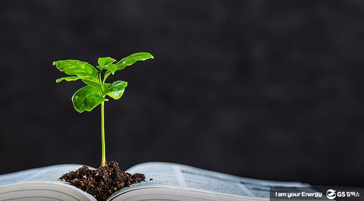 클리마투스 컬리지 공모전