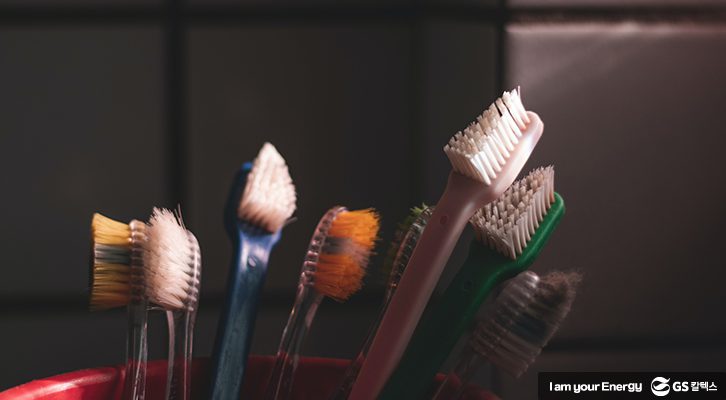 칫솔들