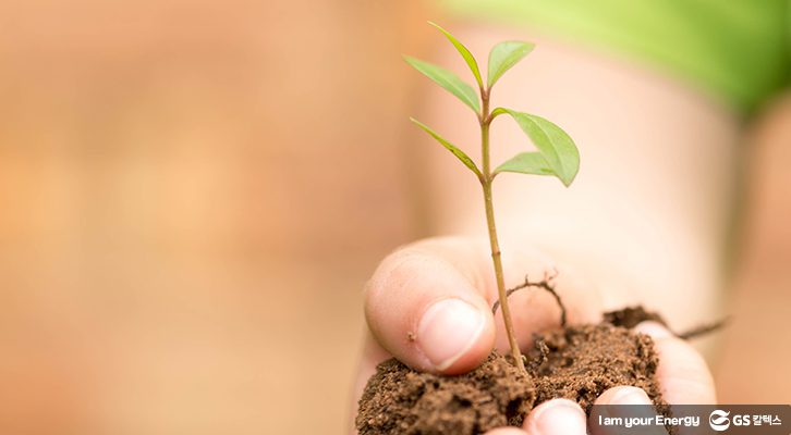 환경을 지키는 소소한 꿀팁_특성이미지