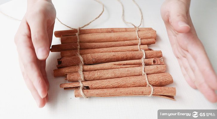 해충퇴치제_계피 연결하기