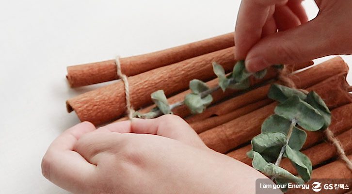 해충퇴치제_유칼립투스로 꾸며주기