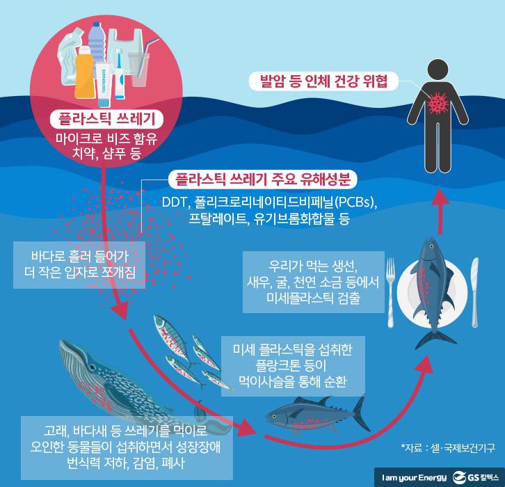 플라스틱 쓰레기가 인체로 흡수되기 까지
