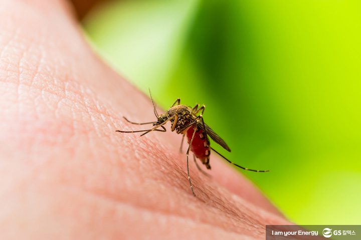 GSC사보, 매거진, 기후변화, 감염병