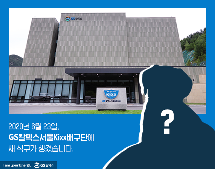 GSC사보, 매거진, 배구단, 마스코트, 리트리버, 킥스