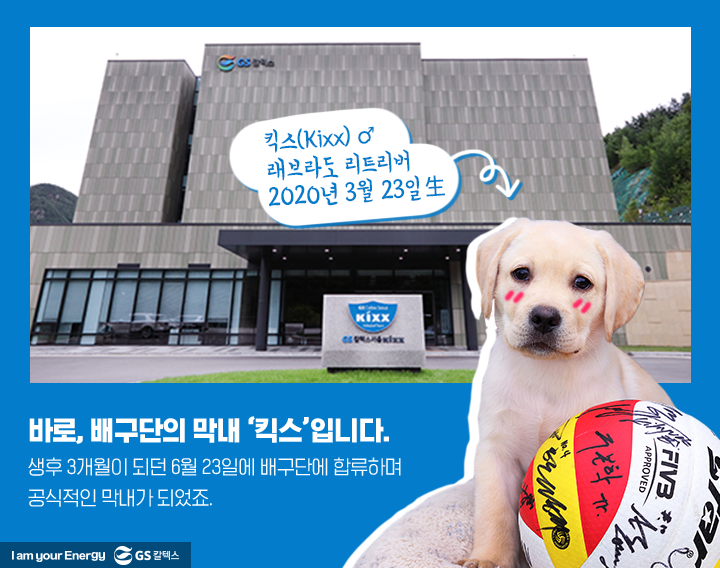 GSC사보, 매거진, 배구단, 마스코트, 리트리버, 킥스