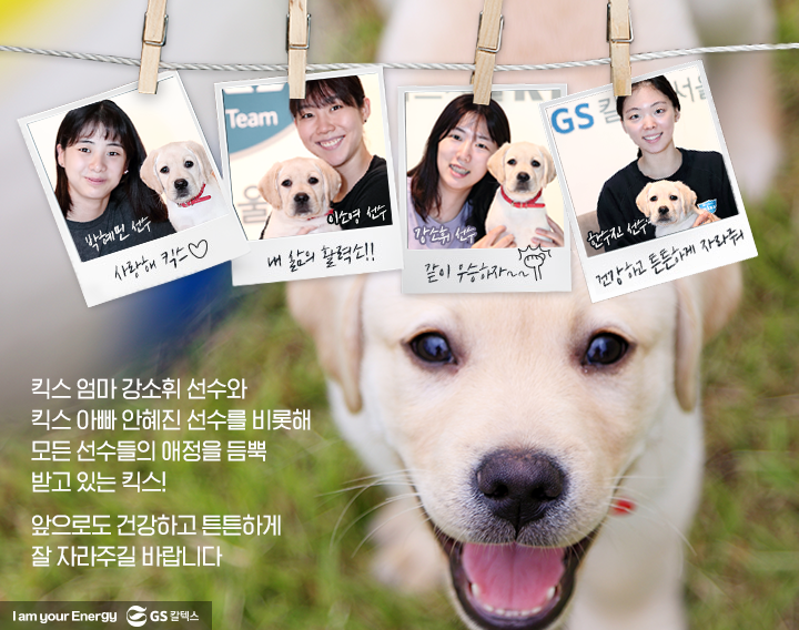 GSC사보, 매거진, 배구단, 마스코트, 리트리버, 킥스