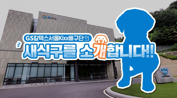 "GS칼텍스서울Kixx배구단의 새 식구, 킥스(Kixx)를 소개합니다"라는 문구와 강아지(Kixx) 사진