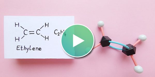 에너지라이프영상-에틸렌