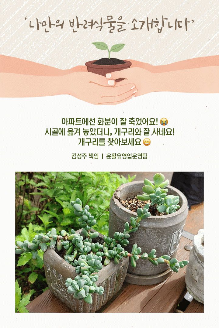 GSC사보, 뉴스, 매거진, 반려식물