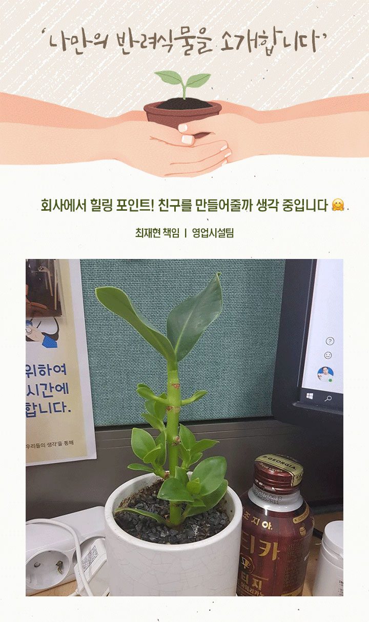 GSC사보, 뉴스, 매거진, 반려식물