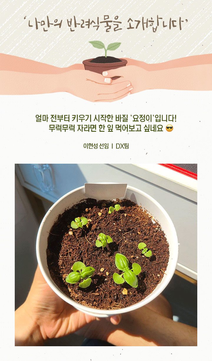 GSC사보, 뉴스, 매거진, 반려식물