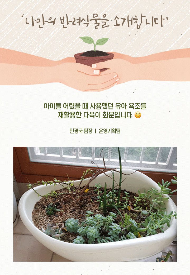 GSC사보, 뉴스, 매거진, 반려식물