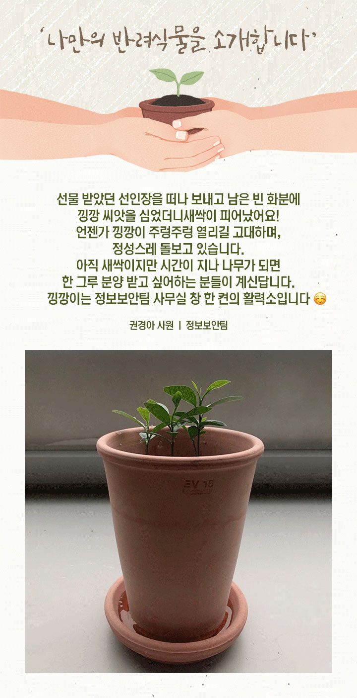 GSC사보, 뉴스, 매거진, 반려식물