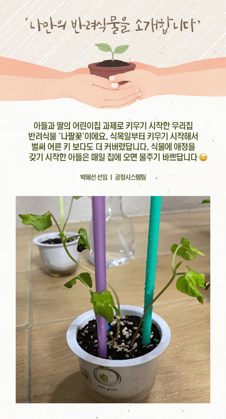 GSC사보, 뉴스, 매거진, 반려식물