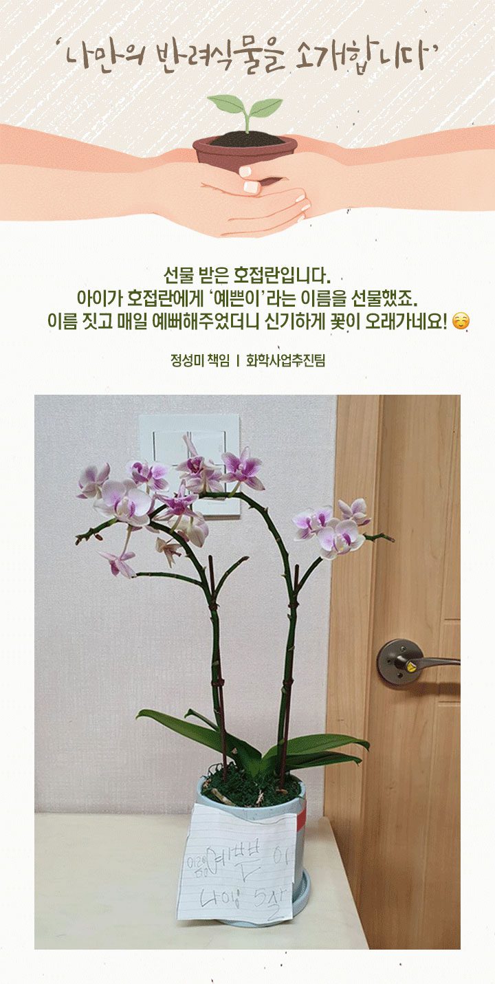 GSC사보, 뉴스, 매거진, 반려식물