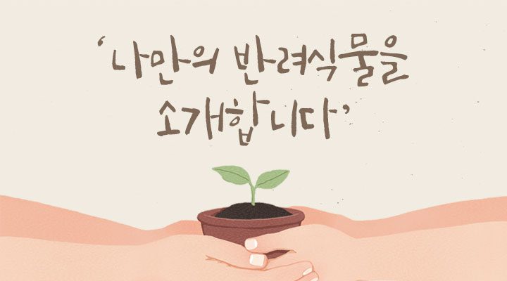 식물이 들려있는 손과 "나만의 반려식물을 소개합니다"라는 멘트가 적힌 포스터 사진