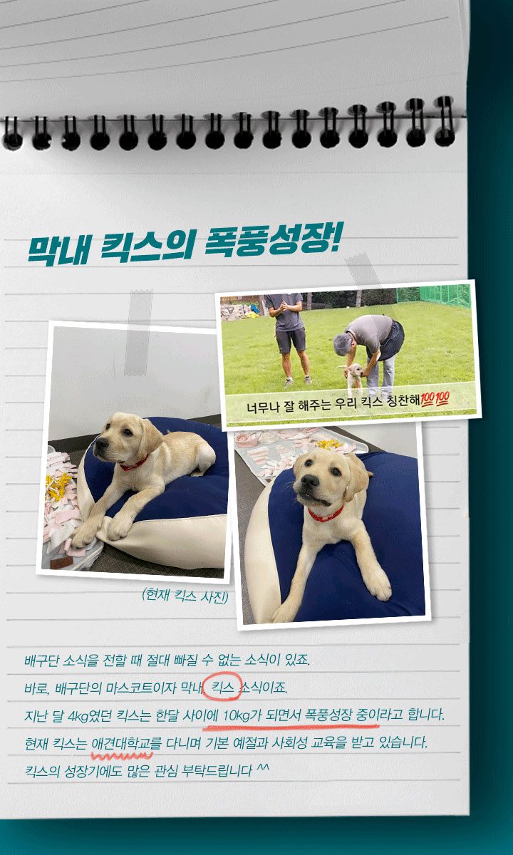 GSC사보, 뉴스, 매거진, 배구단