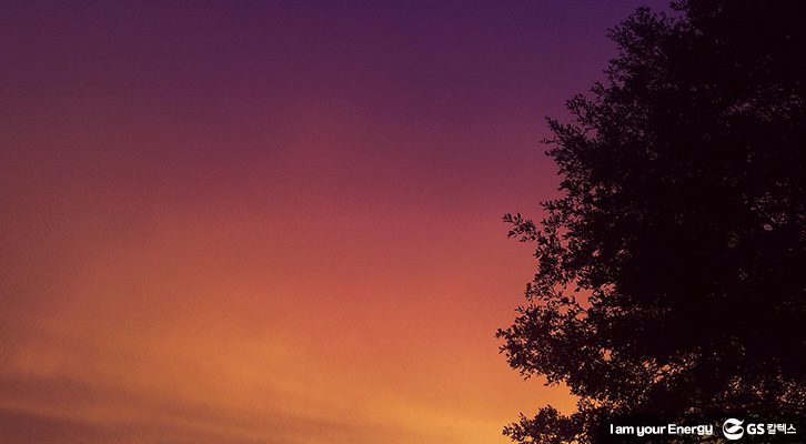 매직아워 기다리기