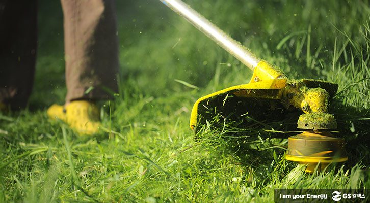 벌초 대행 서비스 인기