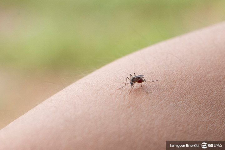 GS칼텍스, GS칼텍스 사보, 매거진