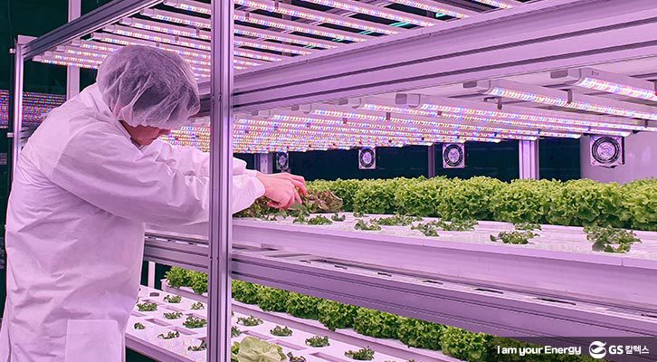 식물공장_2