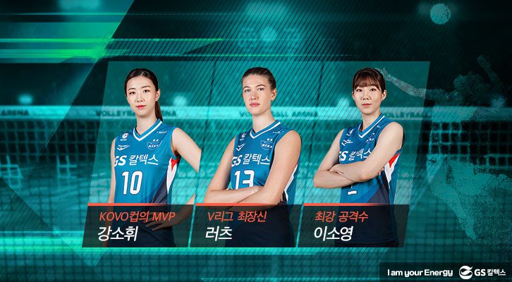 배구단관전포인트