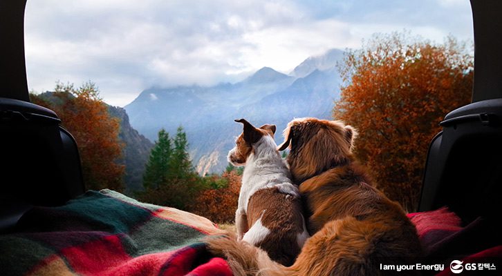 요즘 트렌드 차박, 나도 한번 떠나볼까_주의사항_소음조심